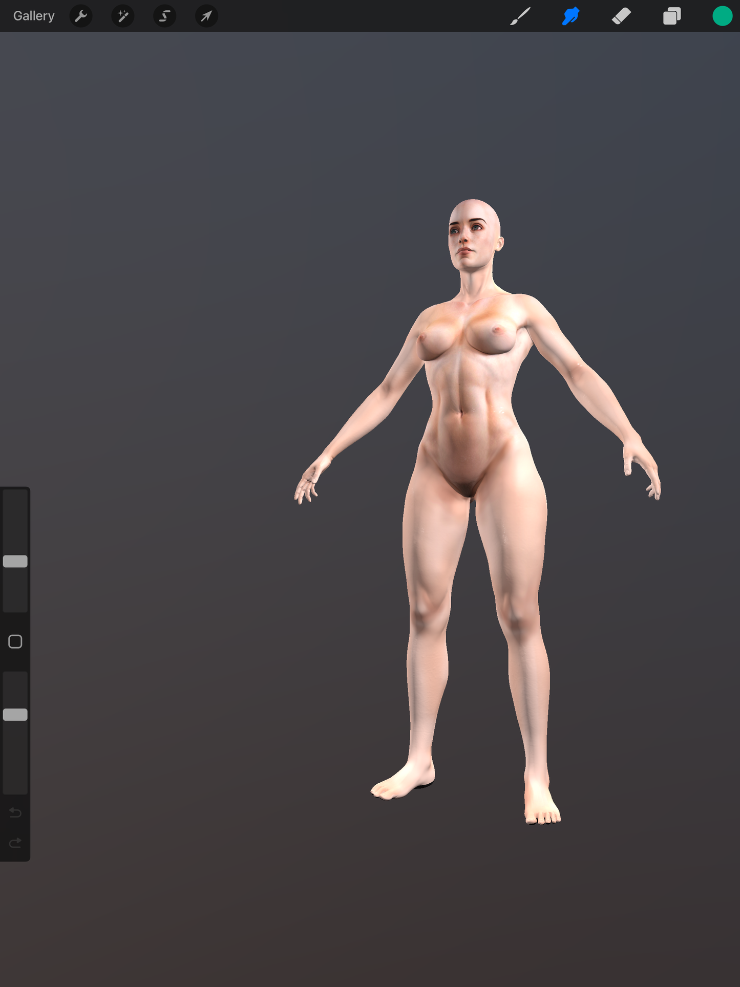 Procreate 3D Female Model Set – 7 High-Quality Models for Tattoo Design and Placement