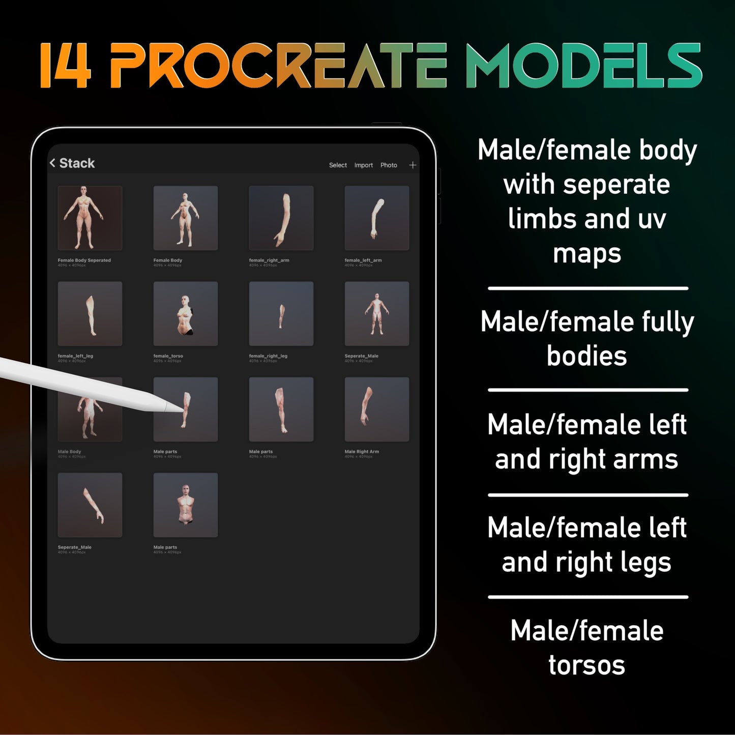 Procreate 3D Male & Female Model Bundle – 14 High-Quality Models for Tattoo Designs and Placement