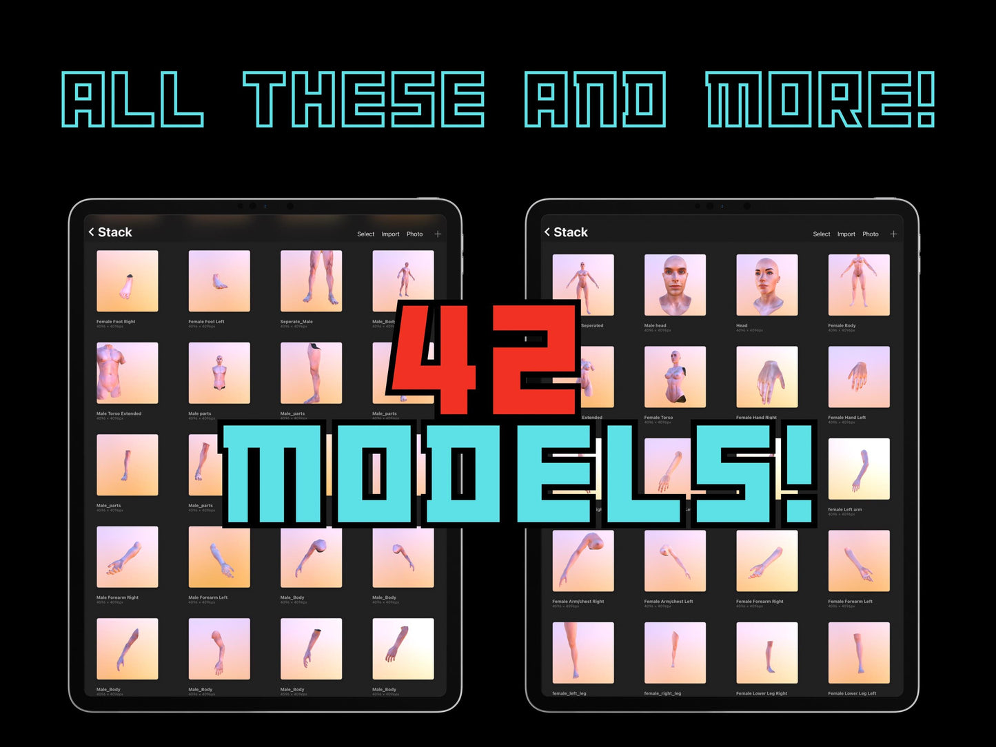 THE ULTIMATE 3D Tattoo Model Bundle – 42 Male & Female 4k Models for procreate