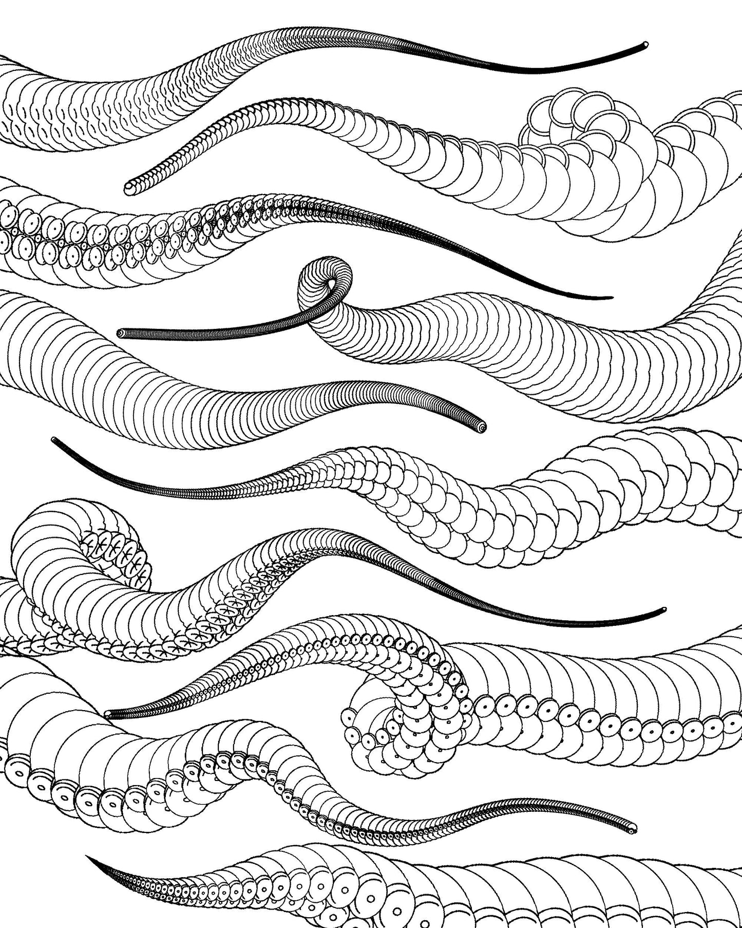 20 Tentacle Procreate Brushes – Locked Angle & Gesture Control Set for Dynamic Creature Designs