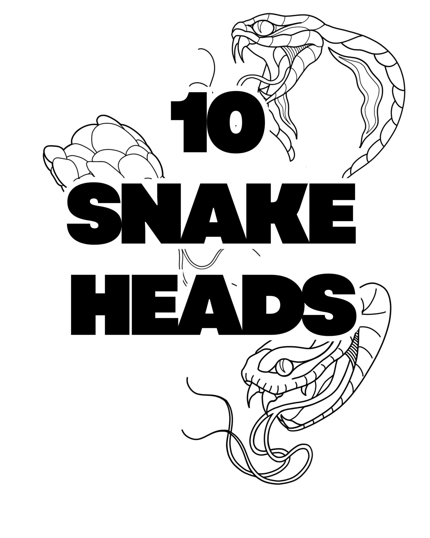 85 Snake Brushes for Procreate: Seamless, Overlap-able, Freeflow