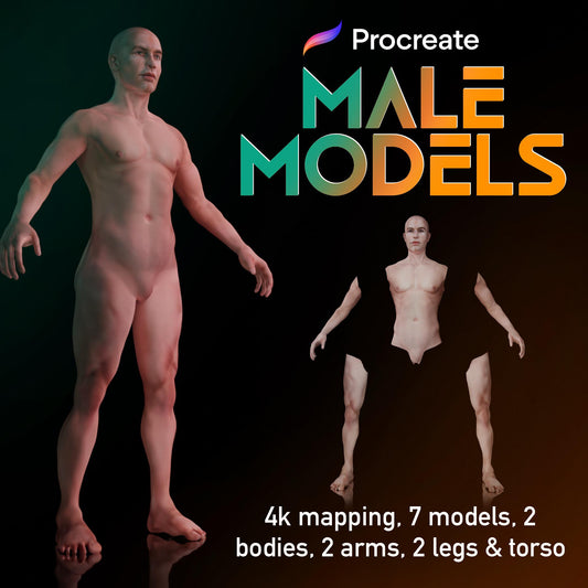 Procreate 3D Male Model Set – 7 High-Quality Models for Tattoo Design and Placement